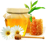 Мёд и соты. (150x134, 41Kb)
