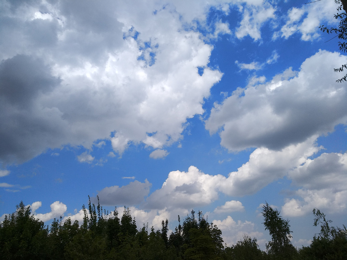 IMG_20200812_123906 (700x525, 348Kb)