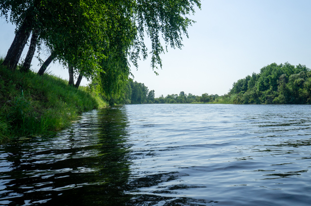 DSC02587 (640x425, 391Kb)