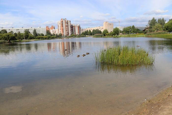 IMG_3528 (700x467, 304Kb)