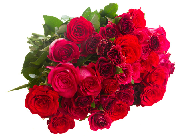 2017Nature___Flowers_Large_bouquet_of_burgundy_roses_on_a_white_background_117328_29 (640x480, 190Kb)
