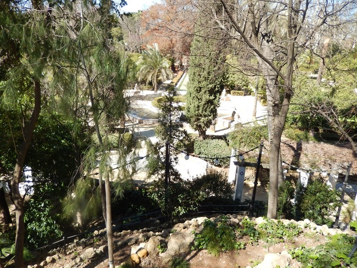 5322303_DSCN7262 (700x525, 220Kb)