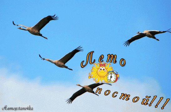 i (548x358, 37Kb)