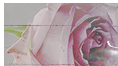 0034 (118x66, 16Kb)