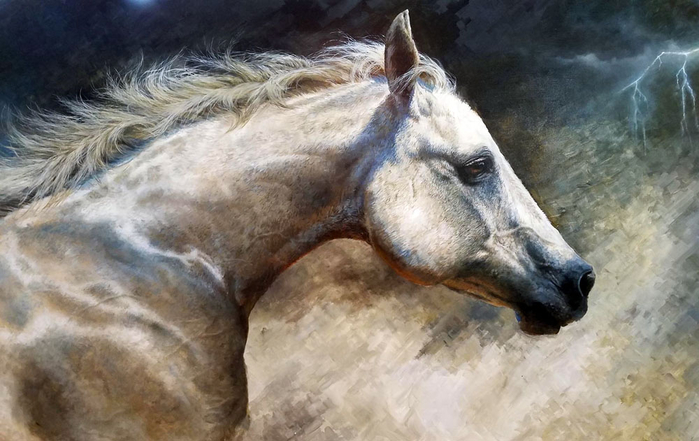 Storm Chaser (700x441, 303Kb)