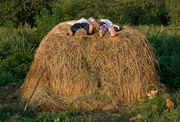 День валяния в траве 24 мая картинки прикольные