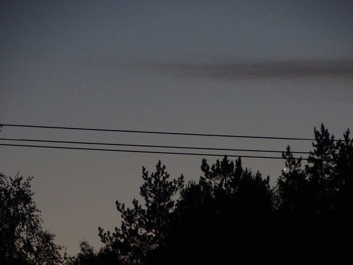 DSC00155 (700x525, 309Kb)