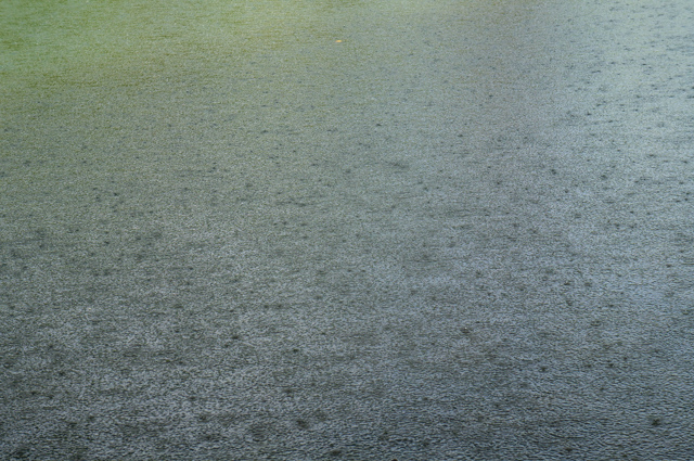 DSC03414 (640x425, 404Kb)