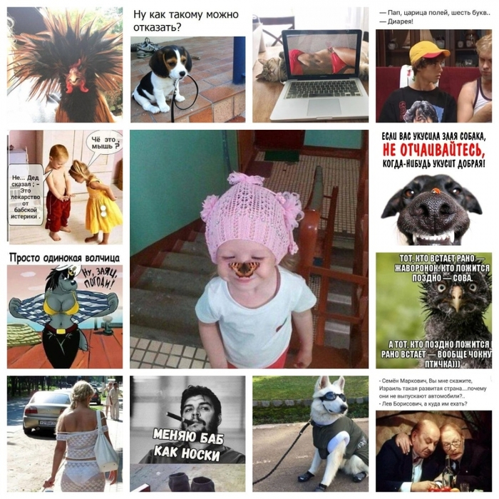 5672049_MyCollages (700x700, 379Kb)
