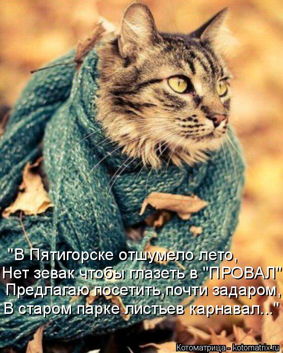 4743317_kotomatritsa_L (558x695, 92Kb)