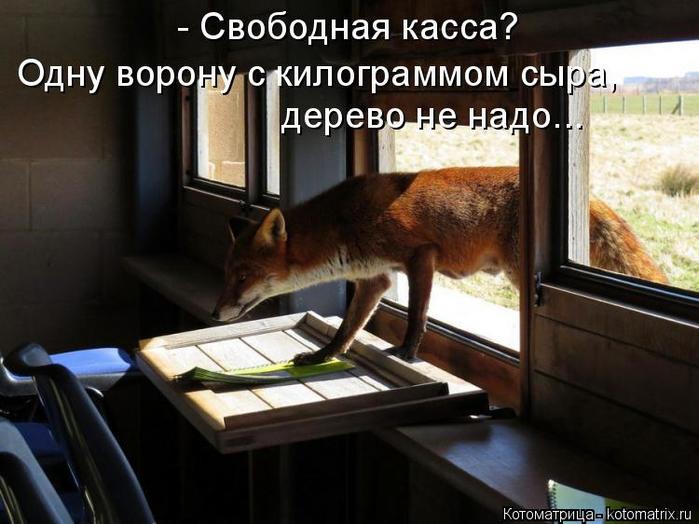 4743317_kotomatritsa_t (700x524, 53Kb)