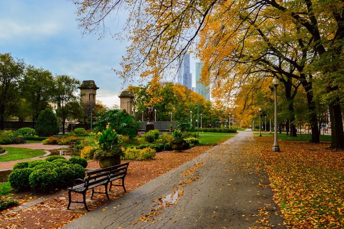 Autumn-in-Grant-Park-in-Chicago (700x465, 111Kb)