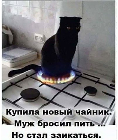 image (403x480, 107Kb)