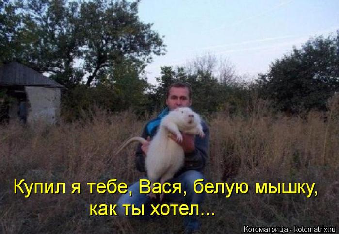 4743317_kotomatritsa_3 (700x482, 57Kb)