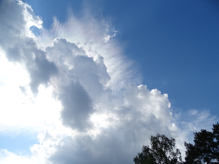 DSC00184 (700x525, 282Kb)