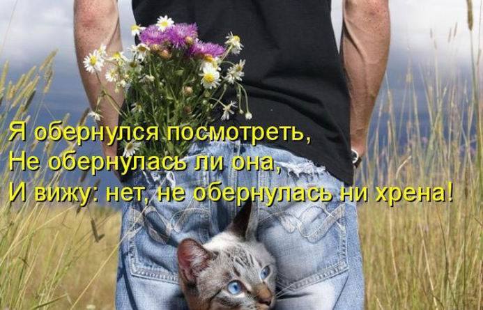 5672049_21151688_481200652241782_6059560856591950566_n (693x445, 59Kb)