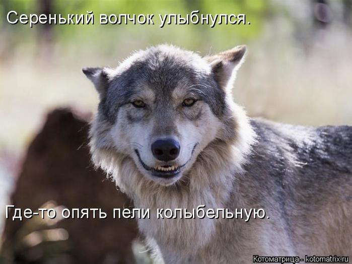 4743317_kotomatritsa_g (700x524, 50Kb)