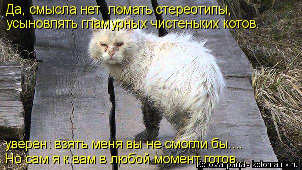 4743317_kotomatritsa_Z (604x340, 68Kb)