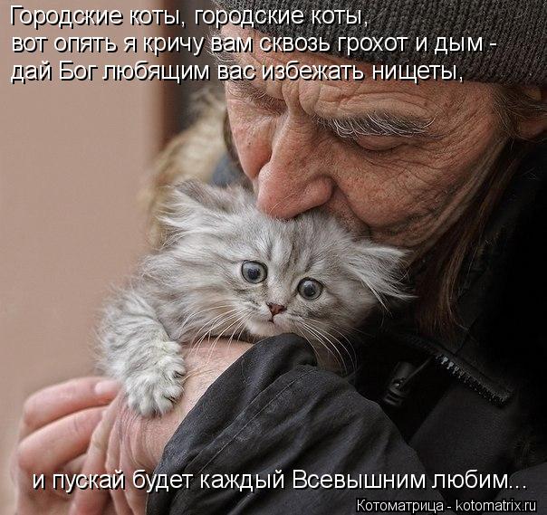 4743317_kotomatritsa_Lx (604x569, 71Kb)