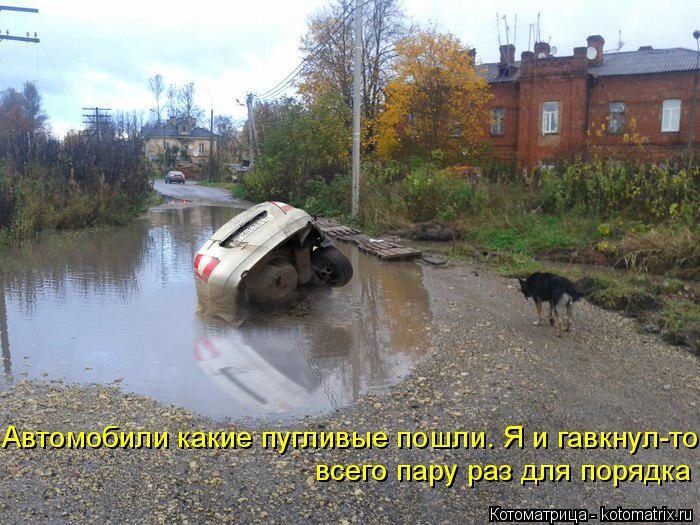 4743317_kotomatritsa_D_1 (700x525, 93Kb)