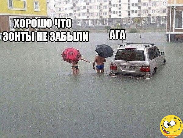3416556_i_10_ (600x453, 86Kb)