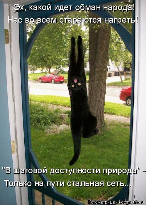 4743317_kotomatritsa_f (498x700, 70Kb)
