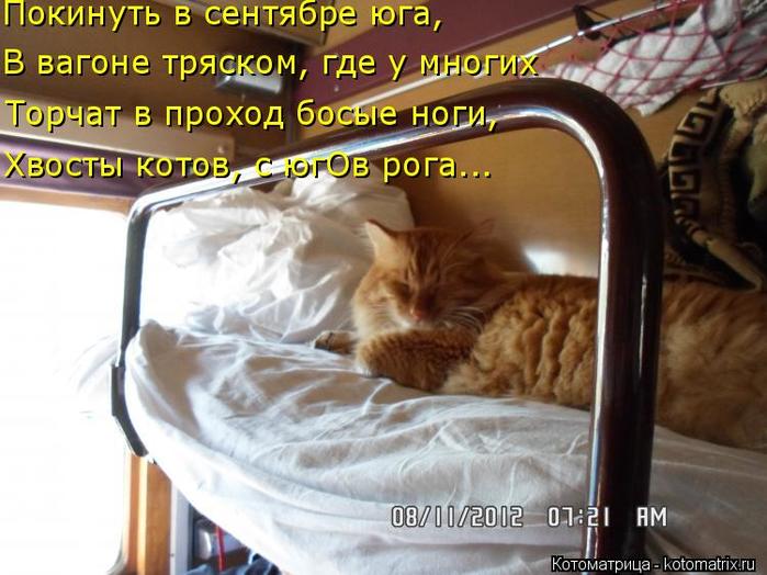 4743317_kotomatritsa_Ys (700x524, 60Kb)