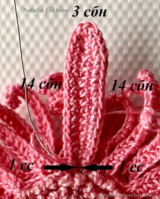 3937411_6426a7da88bf92b95bb2adaddfba48c8b3c93x (563x700, 312Kb)