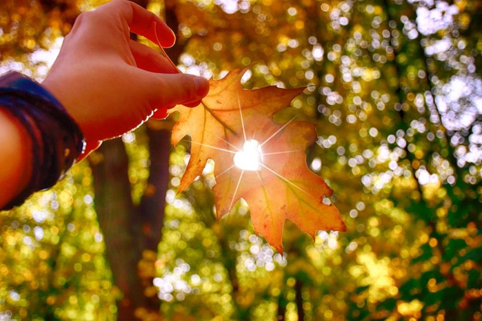 iStock8_d_850 (600x366, 393Kb)
