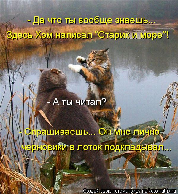 4743317_kotomatritsa_U (600x655, 95Kb)