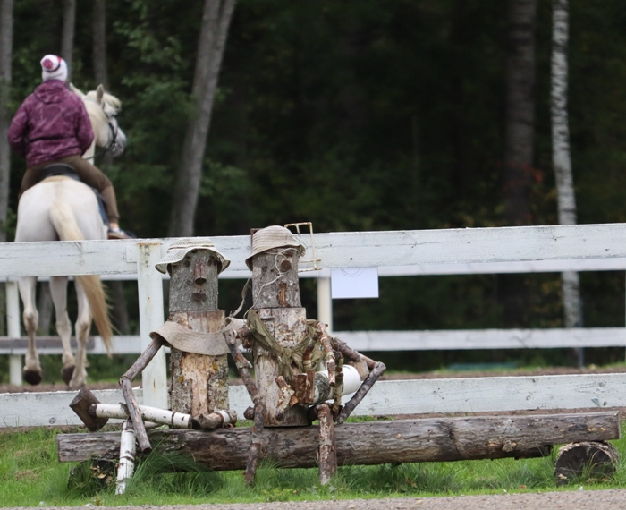 IMG_7463 (700x570, 366Kb)