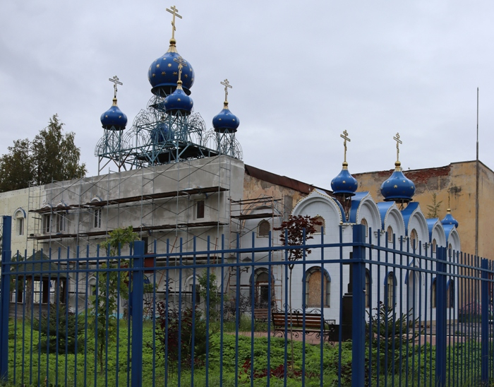 IMG_7531 (700x548, 409Kb)