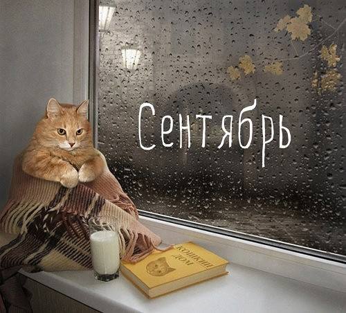 2138482_september (500x452, 45Kb)