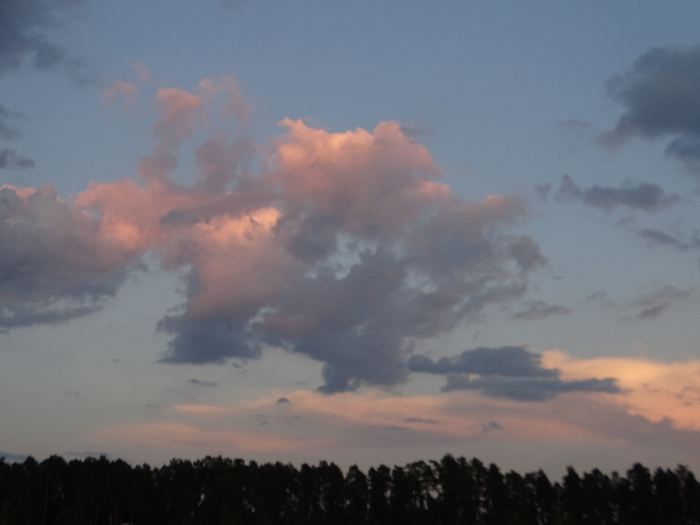 DSC00022 (700x525, 237Kb)