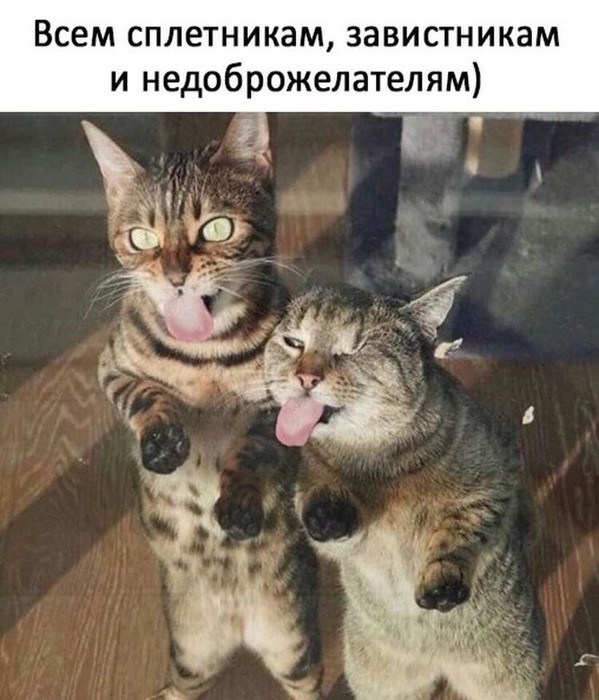 4743317_i_56 (599x700, 94Kb)