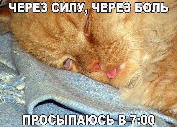 4743317_i_54 (600x430, 84Kb)