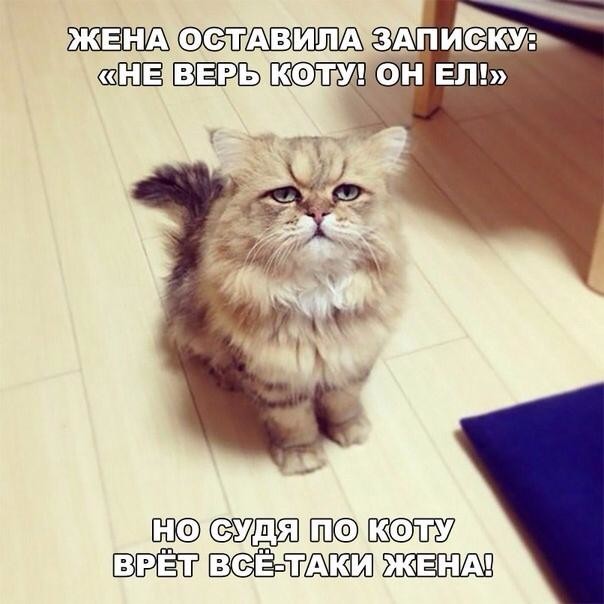 4743317_i_48 (604x604, 56Kb)