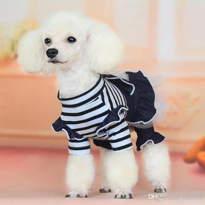 summer-pet-clothe-puppy-small-dog-cat-clothes (700x700, 43Kb)