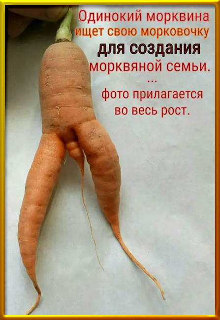 ар (447x650, 189Kb)