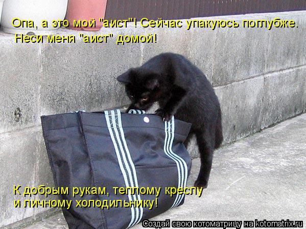4743317_kotomatritsa_y (599x449, 70Kb)