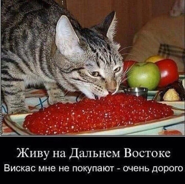 4743317_i_33 (700x697, 127Kb)