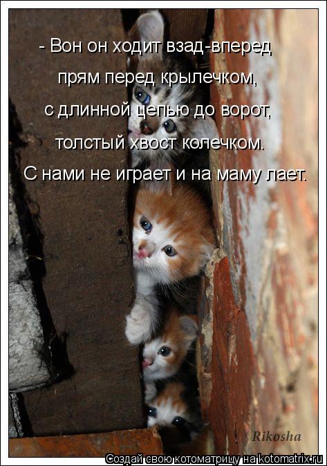 4743317_kotomatritsa_h (473x674, 64Kb)