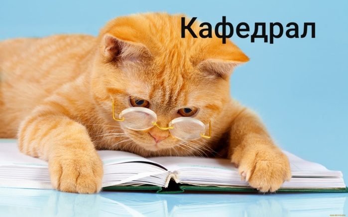 4743317_i_20 (700x437, 46Kb)