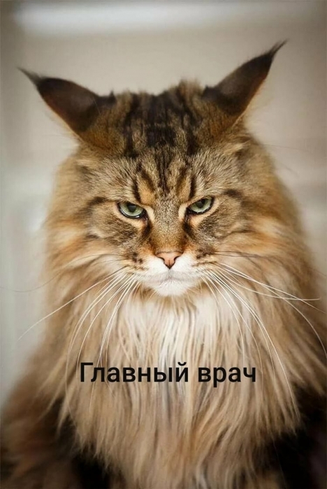 4743317_i_30 (468x700, 189Kb)