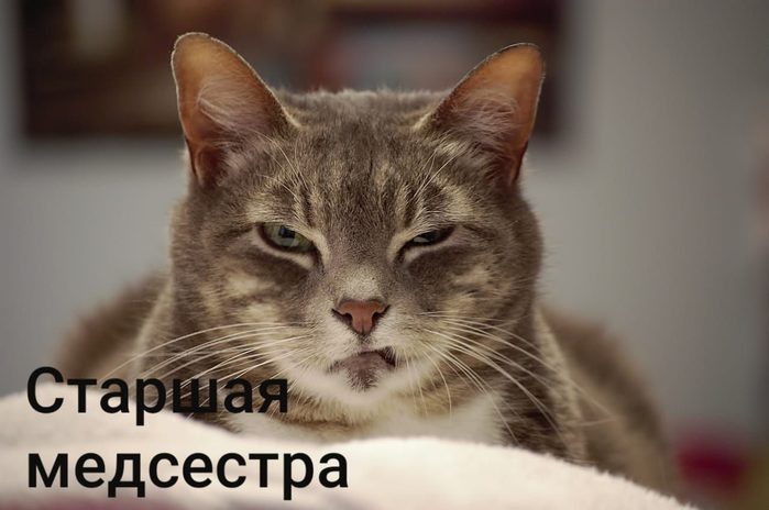 4743317_i_27 (700x464, 44Kb)