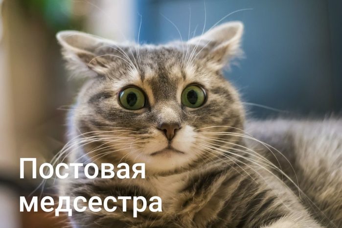 4743317_i_28 (700x466, 51Kb)