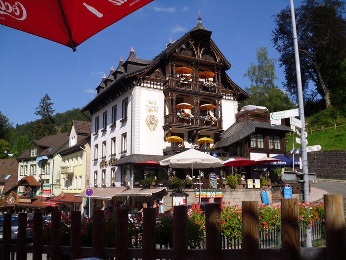 Joseph-Sollner-Germany-2-1024x768 (700x525, 455Kb)