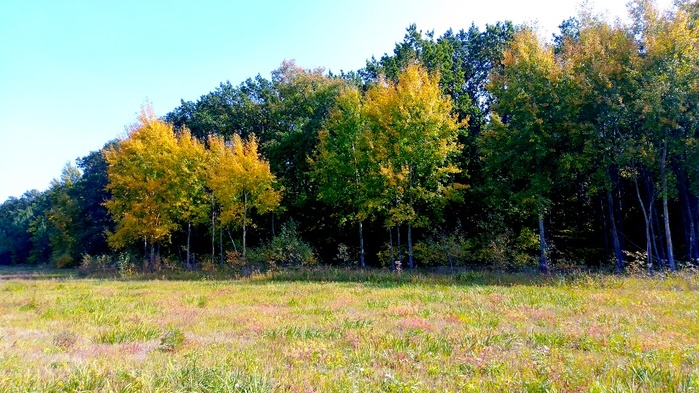 5011241_PHOTO_20200926_130454 (700x393, 166Kb)