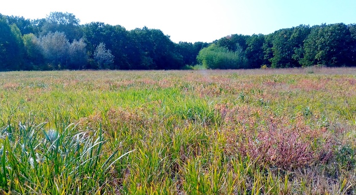 5011241_PHOTO_20200926_130416 (700x383, 169Kb)