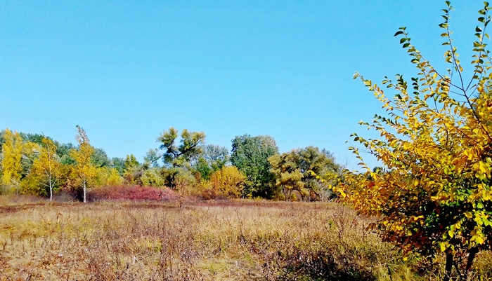 5011241_PHOTO_20200926_134610 (700x401, 152Kb)